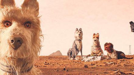 Gefördert. Der Film „Isle of Dogs“ eröffnet die Berlinale.