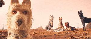 Gefördert. Der Film „Isle of Dogs“ eröffnet die Berlinale.