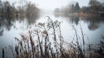 Idylle und Lebensraum. Hauptarm der Havel bei Rathenow.