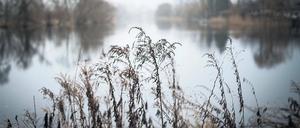 Idylle und Lebensraum. Hauptarm der Havel bei Rathenow.