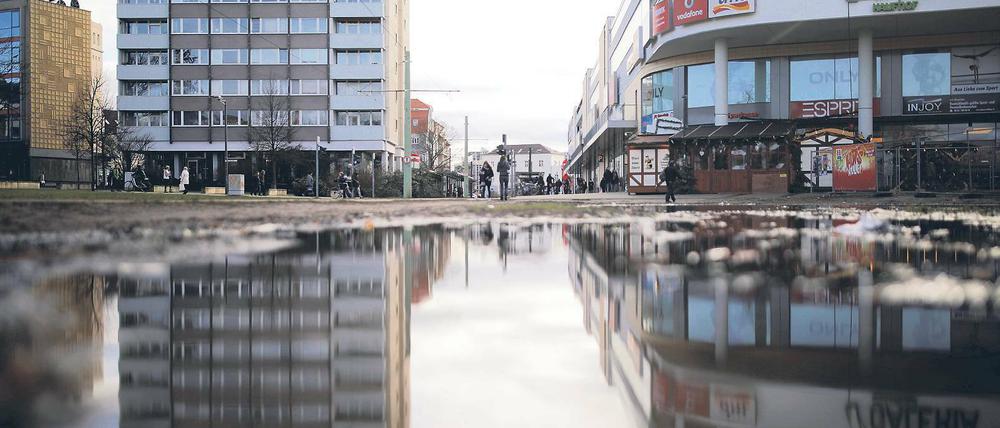Spiegelbildlich. Die Vorgänge in Cottbus dürften zu keiner Abwärtsspirale führen, mahnt der Regierungschef.