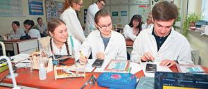 Bitte ausprobieren. Am städtischen Gymnasium Sally Bein werden Schüler in vielen Projekten auf das Berufsleben vorbereitet. Sei es im Chemieunterricht oder der Theater-AG, einen Bezug zum Job gibt es oft. Dafür wurde die Schule mehrfach ausgezeichnet.