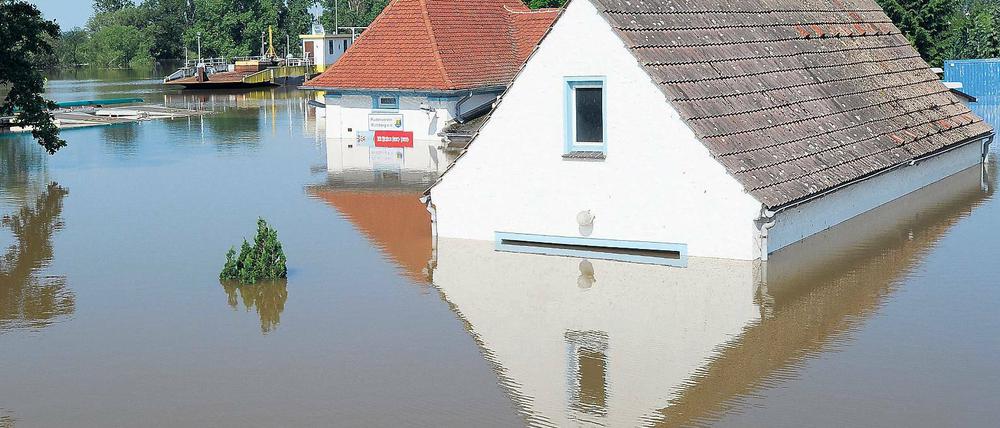 Land unter. In Brandenburg gab es in den vergangenen Jahren relativ häufig extreme Hochwasser, wie hier im Juni 2013 in Mühlberg an der Elbe. Nach einer aktuellen Studie aus Potsdam wird sich das Hochwasserrisiko in der Mark in den kommenden Jahren stark erhöhen.