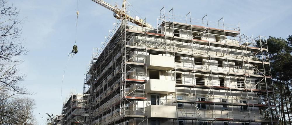 Potsdam boomt: In der Waldstadt werden derzeit Pro-Potsdam-Wohnungen gebaut.