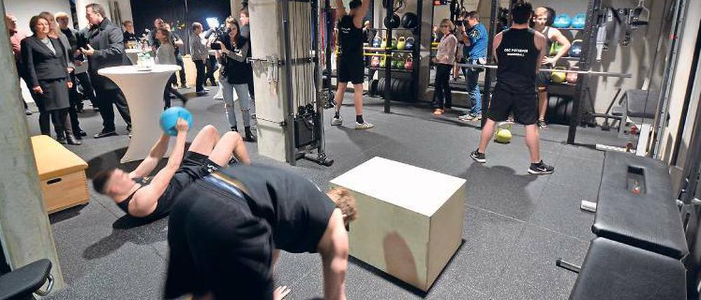 Ein Keller zum Stählen. In ihrem neuem Kraftraum können die OSC-Wasserballer ihre Athletik unter guten Bedingungen weiterentwickleln.