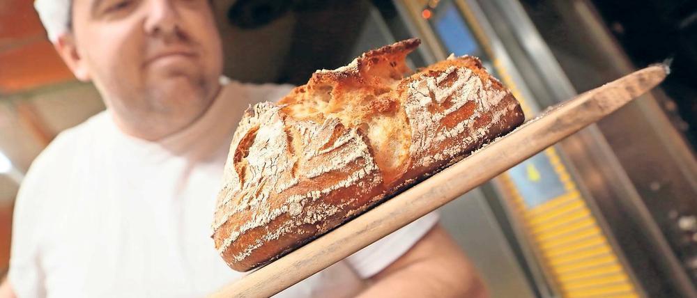 Knusprige Kruste. Produktionsleiter Karsten Freudenreich hat das Brot „wie von damals“ aus Dinkel, Roggen, Gerste und Hafer kreiert. Auf der Grünen Woche wird es präsentiert und kommt zeitgleich in die 37 Geschäfte der Bäckerei, die 220 Mitarbeiter beschäftigt.