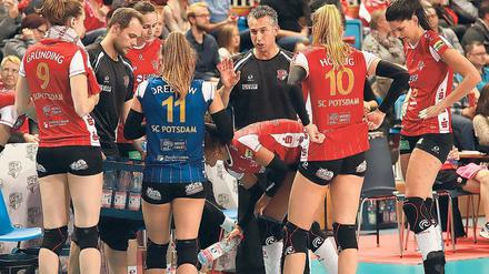 Appell. SCP-Trainer Davide Carli fordert Kampfgeist von seinem Team.