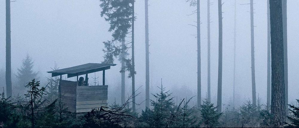 Jagdfieber. Die Babelsberger Regie-Studentin Sophia Bösch erzählt in „Rå“ die Geschichte eines Mädchens in Nordschweden, das Anerkennung in der männlich dominierten Jägerszene sucht (Bild oben). Eröffnet wird das Festival mit dem Puppentrickfilm „Isle of Dogs – Ataris Reise“ von Wes Anderson, einer Koproduktion mit Studio Babelsberg (unten links). Das Festival zeigt auch „Das schweigende Klassenzimmer“, für den Szenen im Studio entstanden sind.