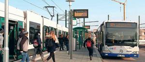 Schnell, schnell. Den Bus am Campus Jungfernsee wollen viele Fahrgäste nicht verpassen. Sonst müssten sie womöglich lange warten.