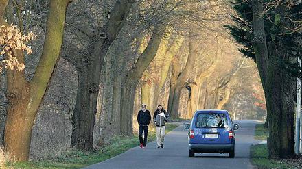 Shared Space. Im Lerchensteig müssen Fußgänger neben Autos laufen.