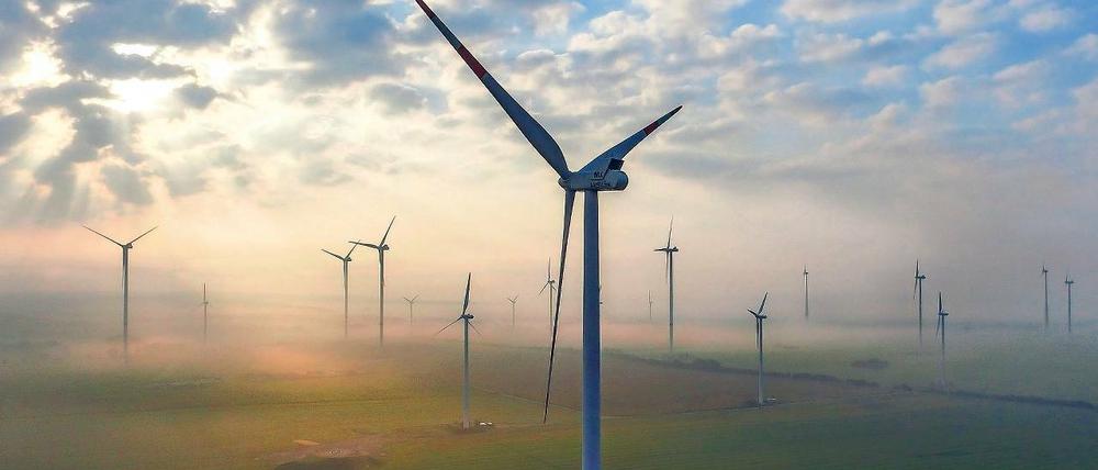 Kompromiss. Wie der geplante Windpark auf Sputendorfer Gebiet einmal aussehen soll, zeichnet sich immer genauer ab: Zehn Räder, davon ein Teil 180 Meter hoch, davor eine Reihe niedrigerer Anlagen mit 150 Metern Höhe, sind derzeit geplant. Um Größe und Anzahl der geplanten Windräder wird schon lange gestritten.