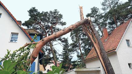 Extrem. Stürme wie Xavier, der im Oktober gerade auch in Brandenburg wütete (hier Schäden in Kleinmachnow), können als Einzelereignis nicht dem Klimawandel zugeordnet werden. Treten Wetterextreme aber über längere Zeiträume gehäuft auf, halten Klimaforscher einen Zusammenhang mit der globalen Erderwärmung für möglich.