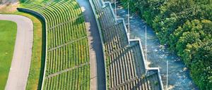 Baufeld Maifeld. Auf den Stufen steht schon lange niemand mehr.