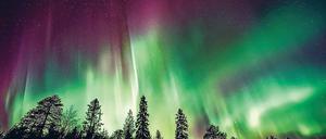 Bunter Himmel. Polarlichter sind ein faszinierendes Schauspiel.