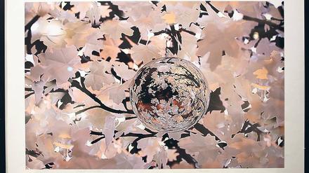 Glänzende Idee. Auch in in der ae-Galerie können sich Kunstinteressierte auf Geschenkepirsch begeben. Unter dem Titel „G(l)anz Weiß Gold“ stehen dort Werke in jahreszeitgemäßer Farbgebung zum Verkauf – wie Sabine Hannesens „Glaskugelbespiegelung“.