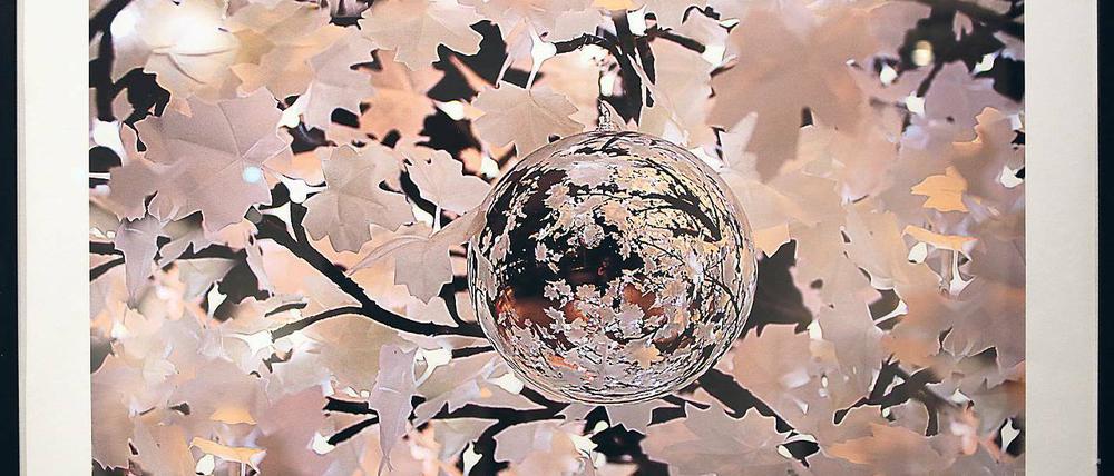 Glänzende Idee. Auch in in der ae-Galerie können sich Kunstinteressierte auf Geschenkepirsch begeben. Unter dem Titel „G(l)anz Weiß Gold“ stehen dort Werke in jahreszeitgemäßer Farbgebung zum Verkauf – wie Sabine Hannesens „Glaskugelbespiegelung“.