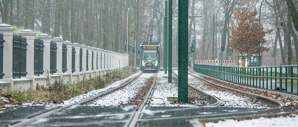 Verlängert. Auf der Strecke zum Campus Jungfernsee (o. l.) sollen vor allem lange Combino-Trams (rechts Mitte) fahren. Protest gab es dennoch (o. r.). Die Chefs des Verkehrbetriebs, Oliver Glaser und Martin Grießner (u. r.), haben noch große Pläne.