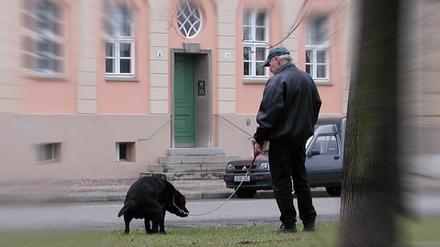 Nicht erwischen lassen: Das Ordnungsamt kontrolliert verstärkt.
