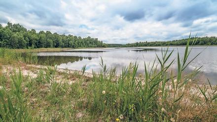 Abgeflossen. Immer mehr Seen im Umfeld des Tagebaus Jänschwalde leiden unter Wassermangel. Untersuchungen sollen zeigen, inwieweit der Bergbau für den Wasserverlust verantwortlich ist. Die Grünen wollen das Thema im Landtag diskutieren.