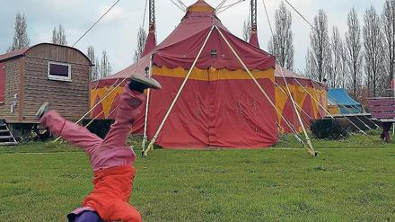 Wo hat es künftig Platz? Das Montelino-Zirkuszelt im Volkspark.