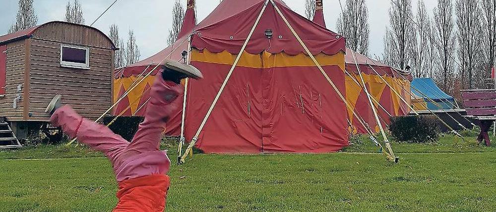 Wo hat es künftig Platz? Das Montelino-Zirkuszelt im Volkspark.