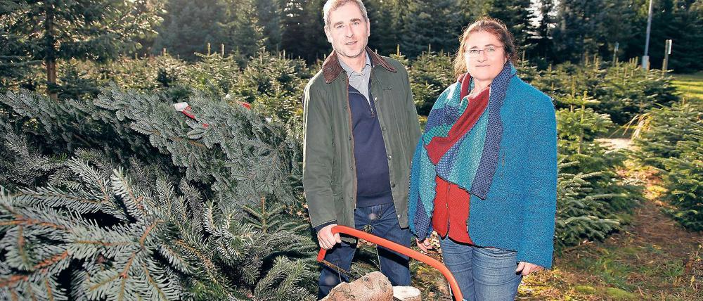 Angesägt. Gerald Mai und Karin Lorenz haben in den kommenden Wochen wieder Hochbetrieb auf dem Tannenhof.