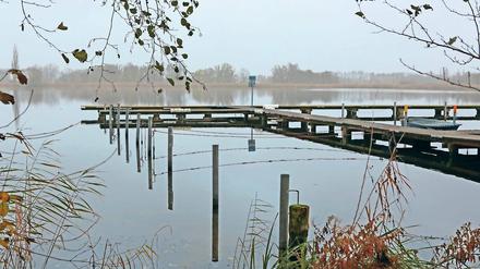 Ab Januar städtisch. Der Steg in Phöben gehört seit 2002 der Stadt, ab Januar 2018 will sie ihn auch selbst betreiben. Die Wassersportfreunde würden ihn gern nutzen, da ein Neubau nur für sie ihrer Meinung nach nicht genehmigt werden würde und sie derzeit nur über den öffentlichen Strand Zugang zum Wasser haben.