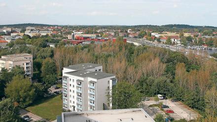 Streitobjekt. Wo an der Nuthestraße (rechts) jetzt noch Bäume wachsen, sollen mehrere Mehrgeschosser gebaut werden. Das planen ein Investor und die Stadt.