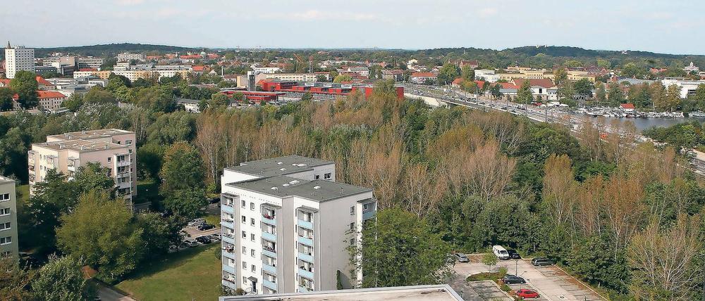 Streitobjekt. Wo an der Nuthestraße (rechts) jetzt noch Bäume wachsen, sollen mehrere Mehrgeschosser gebaut werden. Das planen ein Investor und die Stadt.
