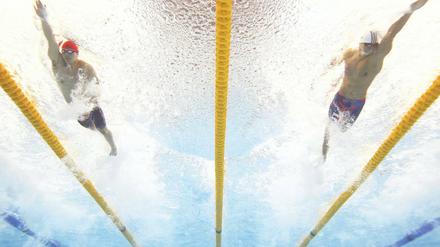 Im Endspurt. Es gibt die große Hoffnung, dass Potsdam ab Januar 2018 Schwimm-Bundesstützpunkt mit entsprechendem Cheftrainer ist.