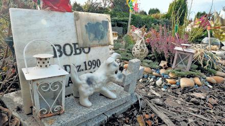 Tierische Grabstätte. 9000 Grabstellen auf einem Gelände von 10 000 Quadratmetern gibt es auf dem Tierfriedhof in Teltow. Damit gehört er zu den größten im Land. 