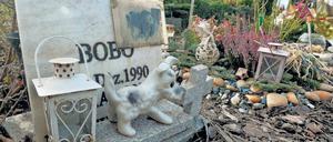 Tierische Grabstätte. 9000 Grabstellen auf einem Gelände von 10 000 Quadratmetern gibt es auf dem Tierfriedhof in Teltow. Damit gehört er zu den größten im Land.