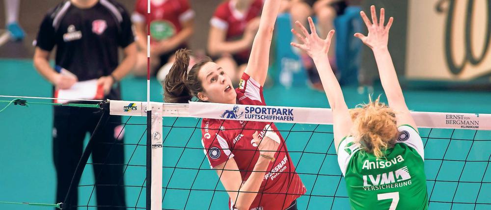 Sie schmettert das zweite Jahr für Potsdam. Marta Drpa war vergangene Saison die drittbeste Scorerin der Liga. Beim SCP kam sie auf die zweitmeisten Punkte hinter Roslandy Acosta, die nach Italien gewechselt ist.