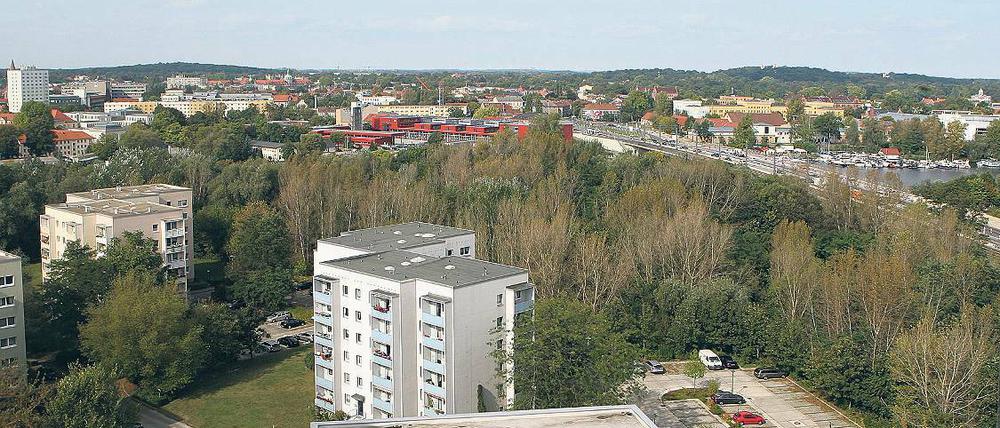 Wohnen statt Wald. Drei riegelartige Drei- bis Fünfgeschosser will ein Berliner Investor auf der Brache zwischen Zentrum Ost und Nuthestraße bauen. In der Stadtpolitik ist man sich dazu uneins.