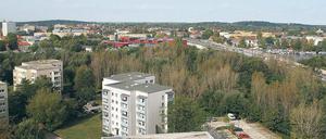 Wohnen statt Wald. Drei riegelartige Drei- bis Fünfgeschosser will ein Berliner Investor auf der Brache zwischen Zentrum Ost und Nuthestraße bauen. In der Stadtpolitik ist man sich dazu uneins.