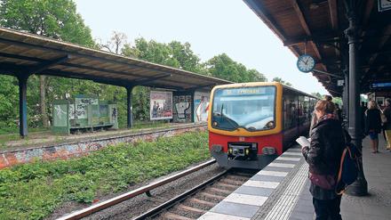 Nächster Halt? Am Bahnhof Zehlendorf steht noch der Bahnsteig, an dem einst Regionalzüge hielten (l.). Auf seiner äußeren Seite liegt das derzeit nur von Güterzügen genutzte Gleis zwischen Wannsee und Steglitz. Für drei Millionen Euro könnten dem Berliner Bahnchef zufolge dort Regionalbahnen fahren.