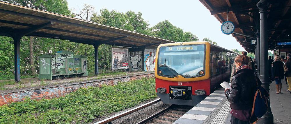 Nächster Halt? Am Bahnhof Zehlendorf steht noch der Bahnsteig, an dem einst Regionalzüge hielten (l.). Auf seiner äußeren Seite liegt das derzeit nur von Güterzügen genutzte Gleis zwischen Wannsee und Steglitz. Für drei Millionen Euro könnten dem Berliner Bahnchef zufolge dort Regionalbahnen fahren.