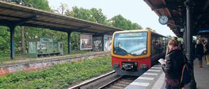 Nächster Halt? Am Bahnhof Zehlendorf steht noch der Bahnsteig, an dem einst Regionalzüge hielten (l.). Auf seiner äußeren Seite liegt das derzeit nur von Güterzügen genutzte Gleis zwischen Wannsee und Steglitz. Für drei Millionen Euro könnten dem Berliner Bahnchef zufolge dort Regionalbahnen fahren.