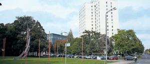 Neue Stadtkante. Diese Grünfläche an der Kreuzung Am Kanal/Berliner Straße soll perspektivisch bebaut werden. Die Genossenschaft PWG, der der größte Teil des Areals gehört, will dort Wohnhäuser errichten. Erste Ideen wurden am Montagabend im Gestaltungsrat diskutiert.