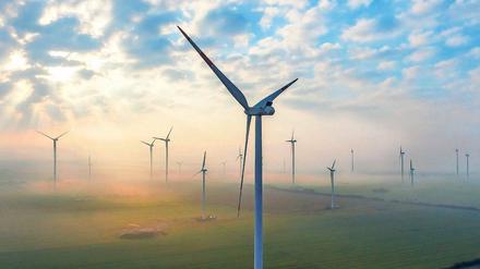 Höher hinaus. Der Trend in der Windkraftbranche geht zu immer höheren Anlagen. So kann auch in windarmen Regionen wirtschaftlich Strom erzeugt werden. In der Genshagener Heide befürchten die Bewohner allerdings, dass die Windräder negativen Einfluss auf die Tierwelt und die Lebensqualität haben könnten.