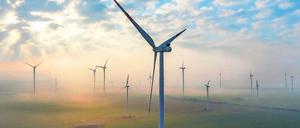 Höher hinaus. Der Trend in der Windkraftbranche geht zu immer höheren Anlagen. So kann auch in windarmen Regionen wirtschaftlich Strom erzeugt werden. In der Genshagener Heide befürchten die Bewohner allerdings, dass die Windräder negativen Einfluss auf die Tierwelt und die Lebensqualität haben könnten.