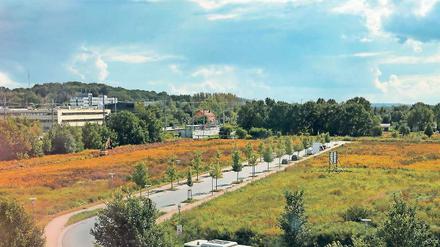 Umstrittene Planungen: Diese Brache neben dem Bahnhof Golm soll in den kommenden Jahren zur neuen Mitte des Ortsteils entwickelt werden. Die Anwohner wollen beteiligt werden und haben eine Initiative gegründet.