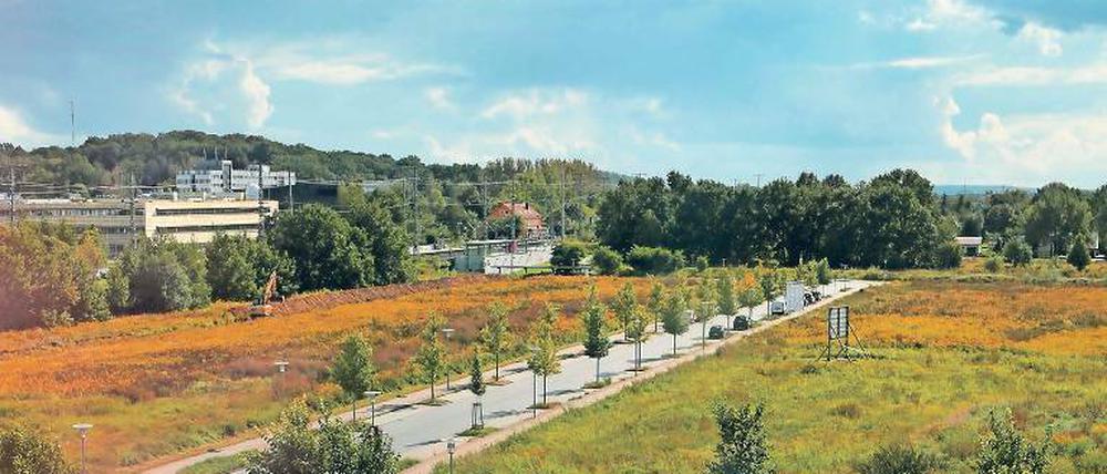 Umstrittene Planungen: Diese Brache neben dem Bahnhof Golm soll in den kommenden Jahren zur neuen Mitte des Ortsteils entwickelt werden. Die Anwohner wollen beteiligt werden und haben eine Initiative gegründet.