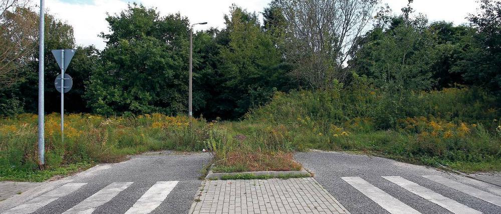 Vorbereitet. Noch führt die südöstliche Abfahrt vom Kreisverkehr Saganer Straße in Teltow ins Grüne. Hier soll nach dem Willen der Kommunen Teltow und Stahnsdorf einmal die sogenannte Biomalzspange eine schnelle Verbindung zwischen den beiden Gewerbegebieten ermöglichen.