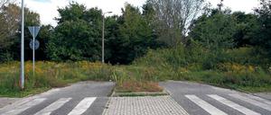 Vorbereitet. Noch führt die südöstliche Abfahrt vom Kreisverkehr Saganer Straße in Teltow ins Grüne. Hier soll nach dem Willen der Kommunen Teltow und Stahnsdorf einmal die sogenannte Biomalzspange eine schnelle Verbindung zwischen den beiden Gewerbegebieten ermöglichen.