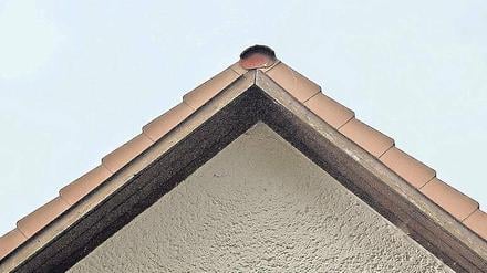 Tiefflieger. Über Bohnsdorf sollen bald dreimal so viele Flugzeuge dröhnen.