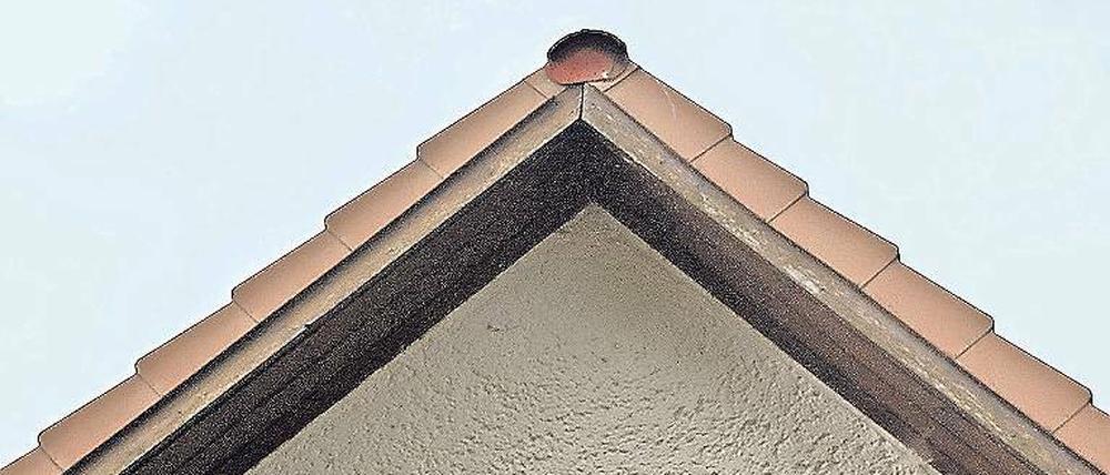 Tiefflieger. Über Bohnsdorf sollen bald dreimal so viele Flugzeuge dröhnen.