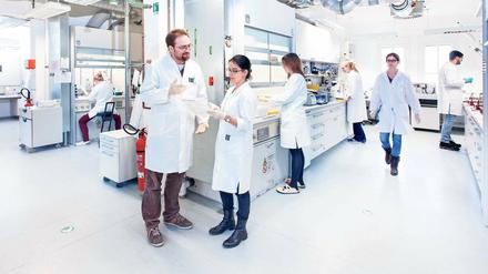 Im Labor. Die Abteilung Experimentelle Diabetologe.