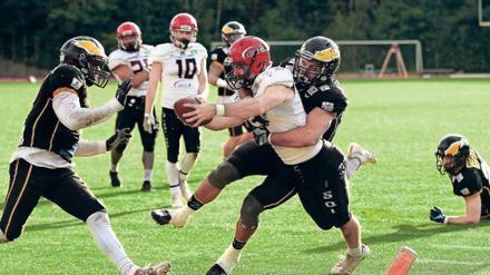 Unaufhaltsam. Ihren Erfolgslauf aus der diesjährigen Zweitliga-Hauptrunde setzten die Potsdam Royals auch im Hinspiel der Relegation gegen die Berlin Adler eindrucksvoll fort. Das Potsdamer Team von Quarterback Jacob Tucker (am Ball) gewann 55:12.