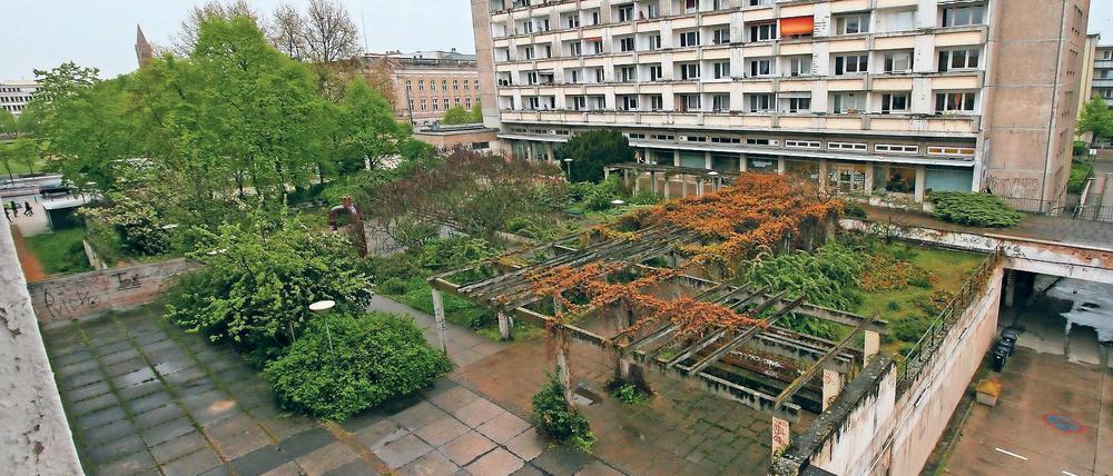 Wird beseitigt. Die Grünanlage im Staudenhof – hier ein Bild aus dem Mai – steht den Plänen für die Potsdamer Mitte im Weg. Nun wird ein Großteil der Pflanzen entfernt.